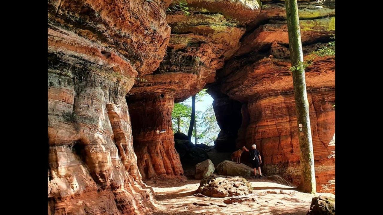 La Petite Halte Villa Lemberg Kültér fotó
